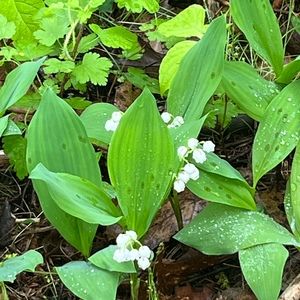 Meet your Posher, Terri